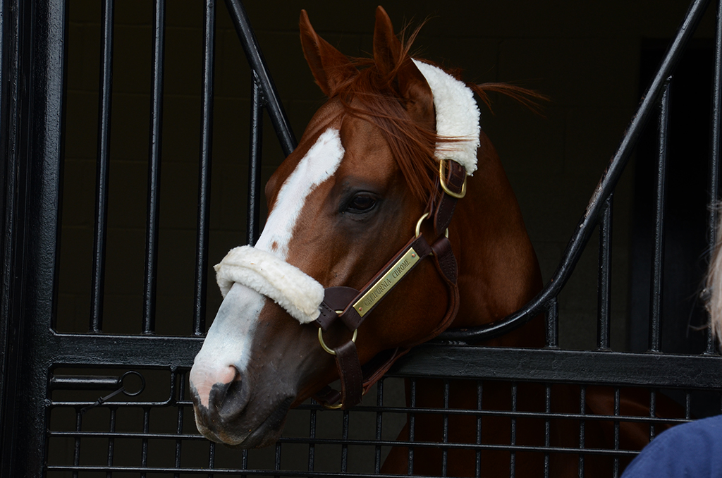 November 2025 - Cindy Lynch