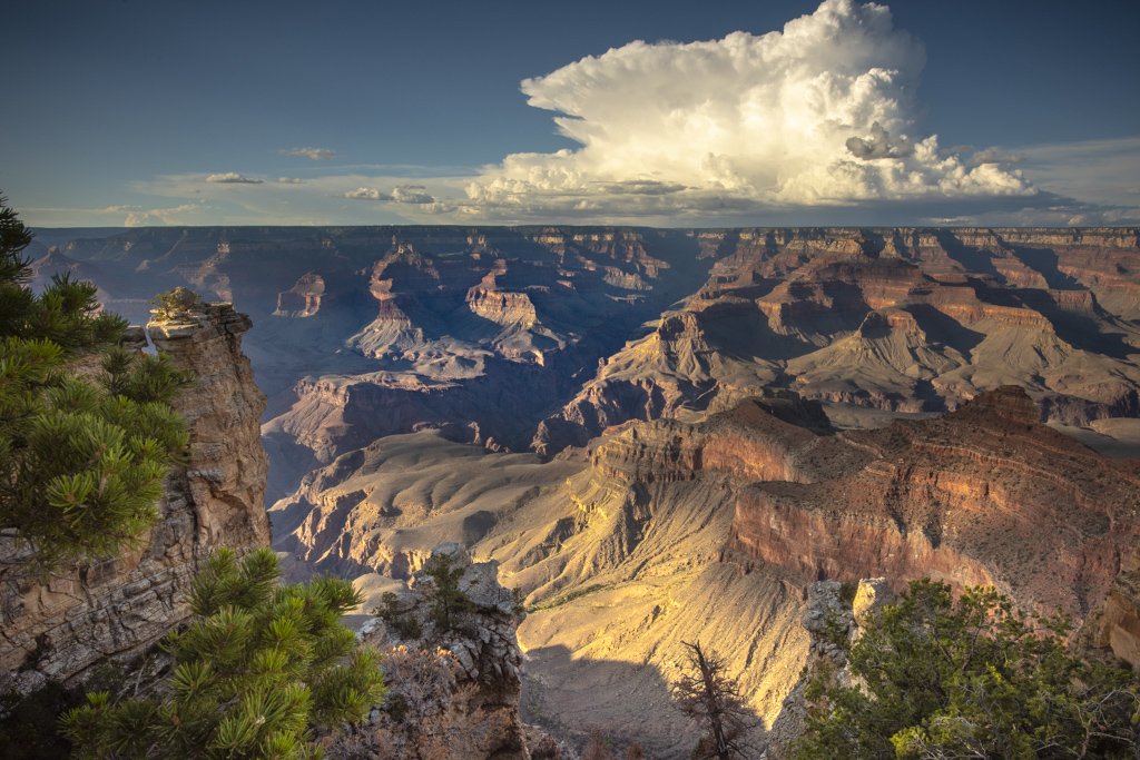Grand Canyon Vista by Phyllis Peterson