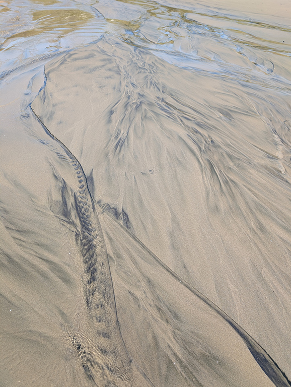 November 2025 - Paul Halphen