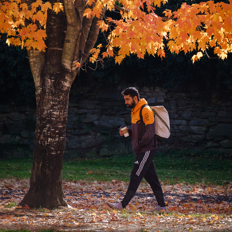 Orange Autumn by David Terao