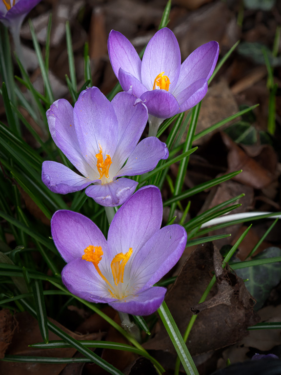 April 2026 - David Terao