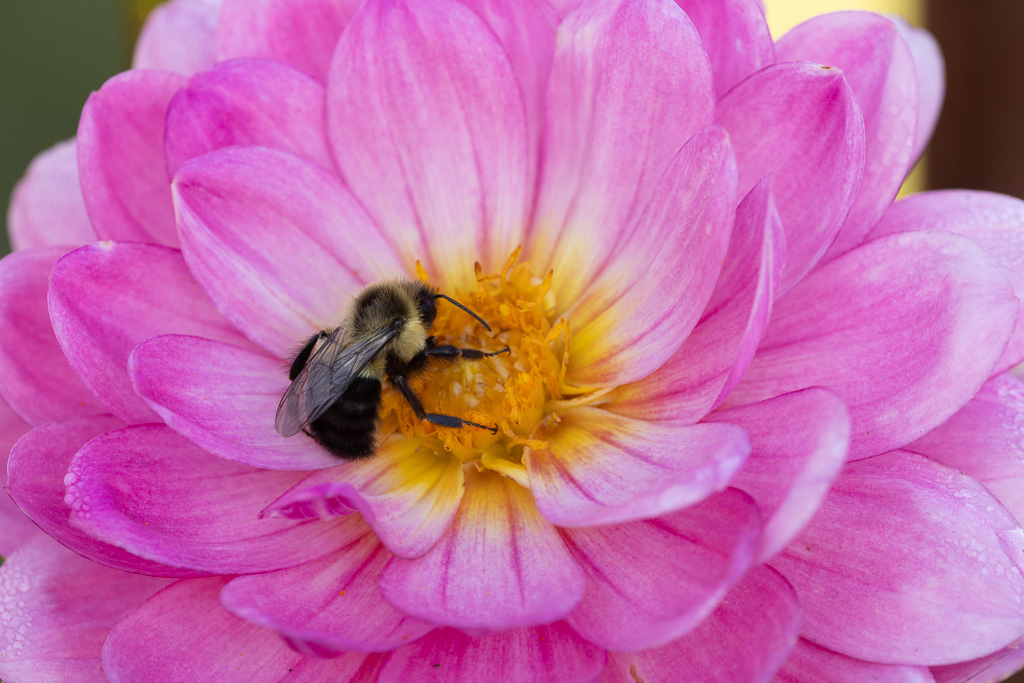 November 2025 - David Terao