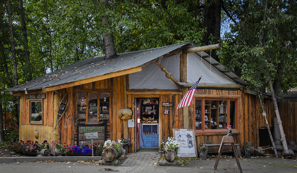 Treehouse Gift Shop Alaska by Cindy Lynch