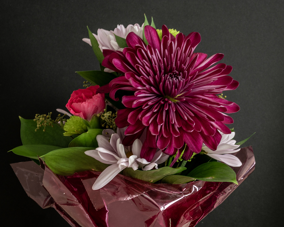 April 2026 - Cindy Lynch