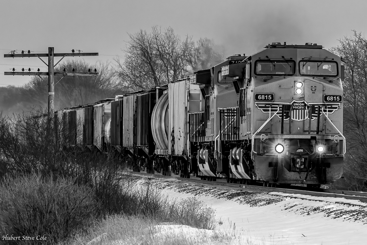 Steve Cole - Heading West