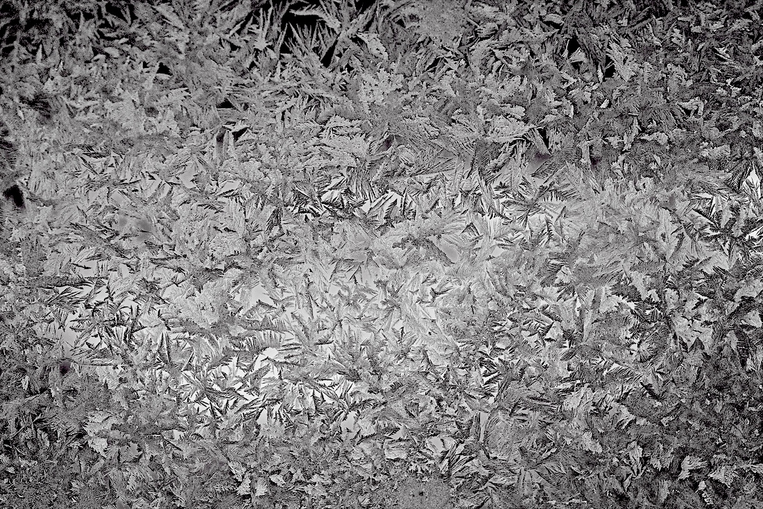 Cold Snap by Albert Zabin