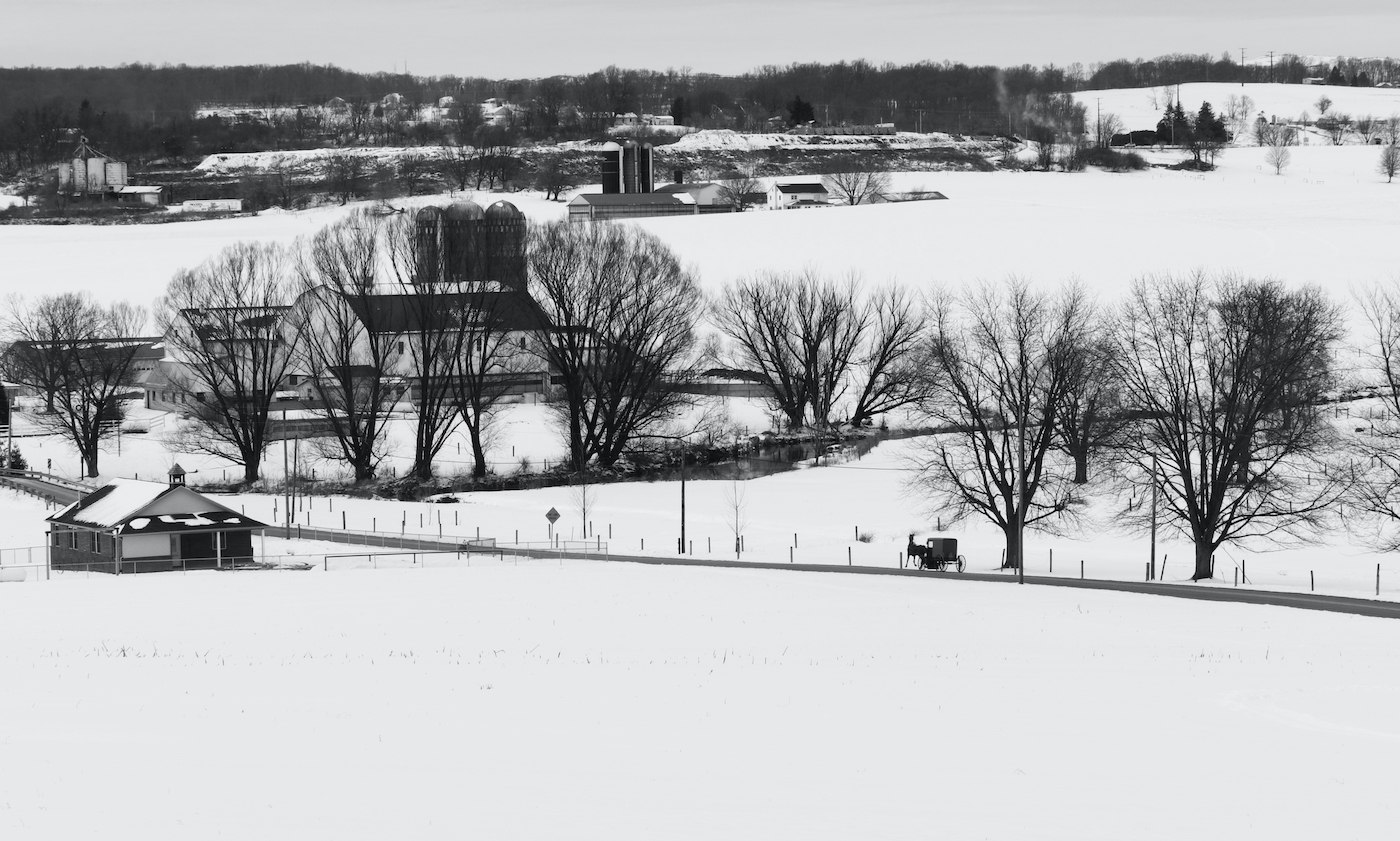 Amish Winter by Robert Cordivari