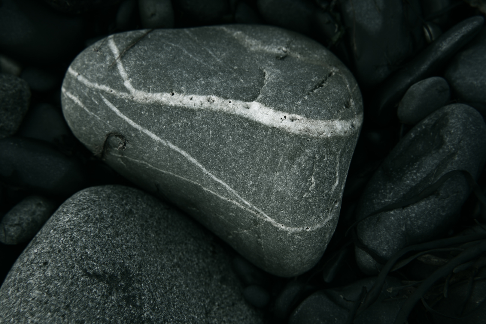 STONY SHAPE by Donald Darling Jr