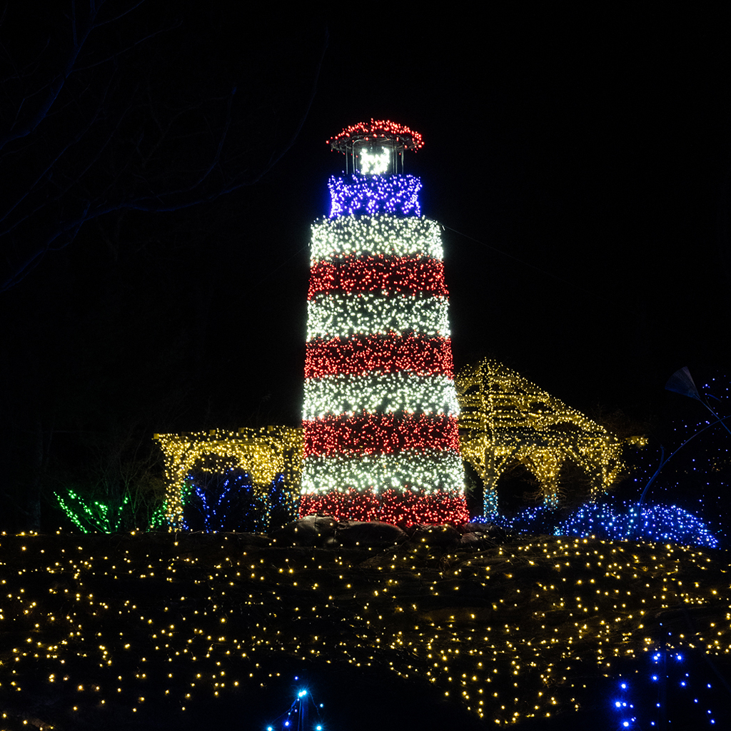 THE HOUSE IN LIGHTS by Donald Darling Jr