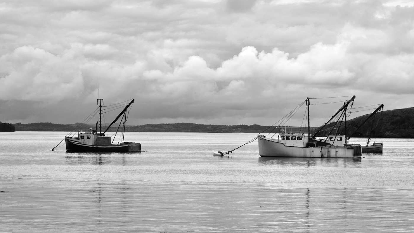 LUBEC HARBOR by Donald Darling Jr