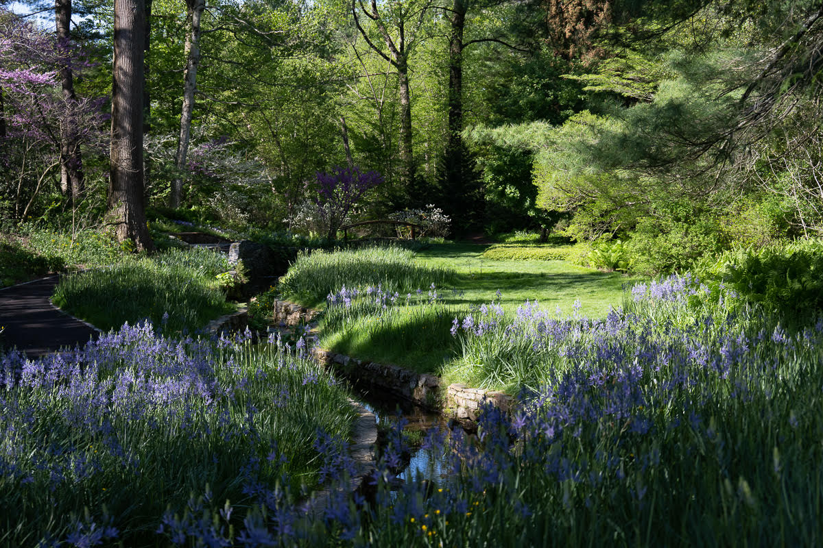 CHANTICLEER GARDENS by Mary Walsh