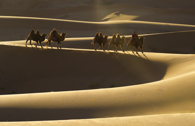 SUNRISE IN MONGOLIA