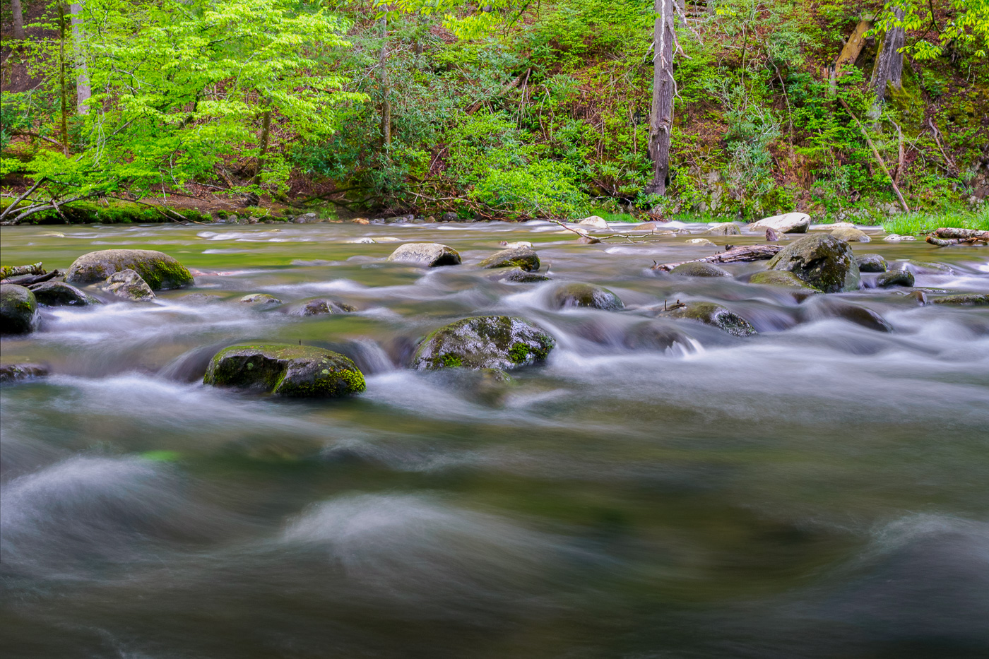 GREAT SMOKY MOUNTAINS NAT'L PARK by Richard Distlerath
