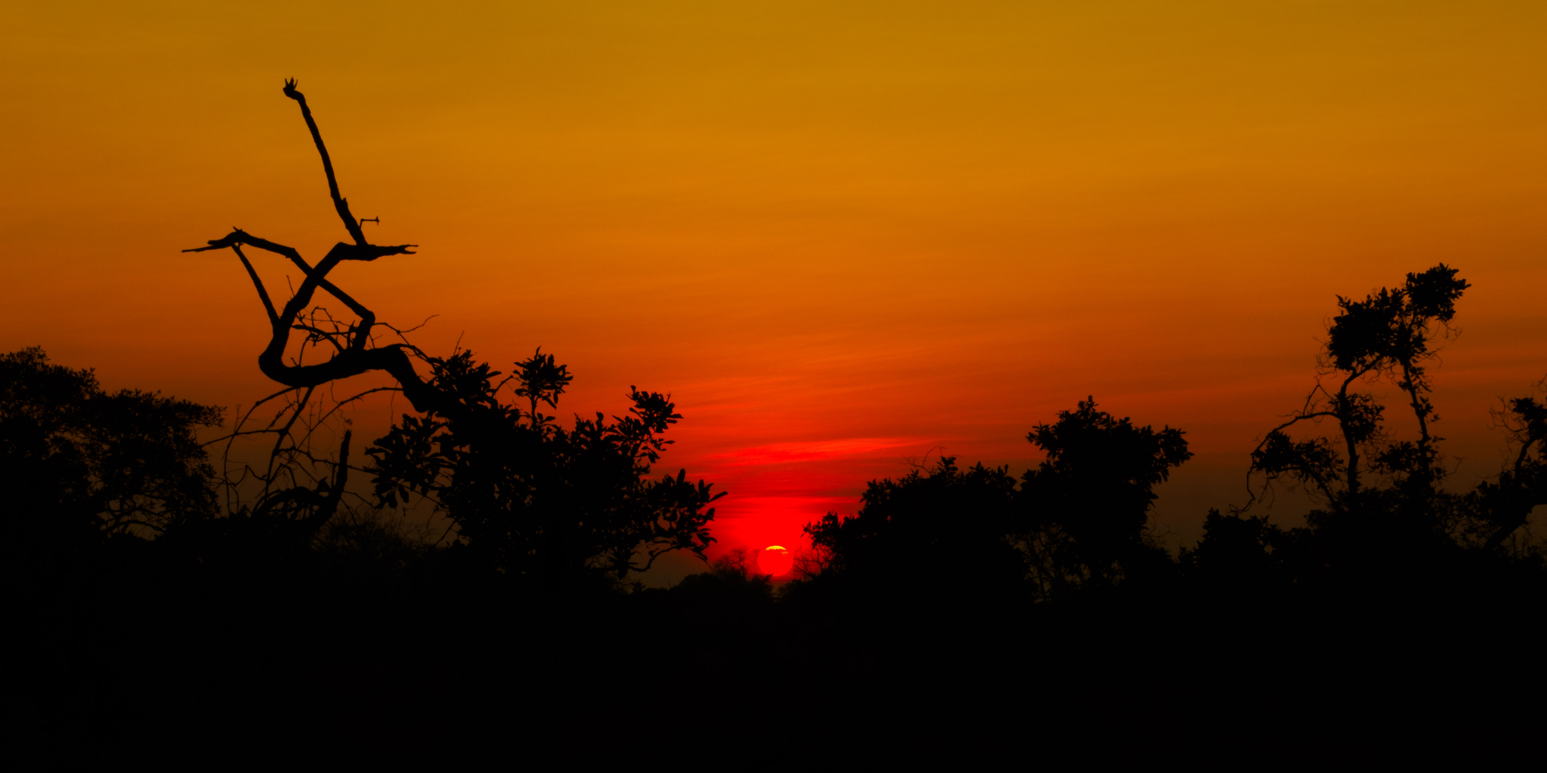 SUNRISE FROM THE BUSH IN ZAMBIA by Richard Distlerath
