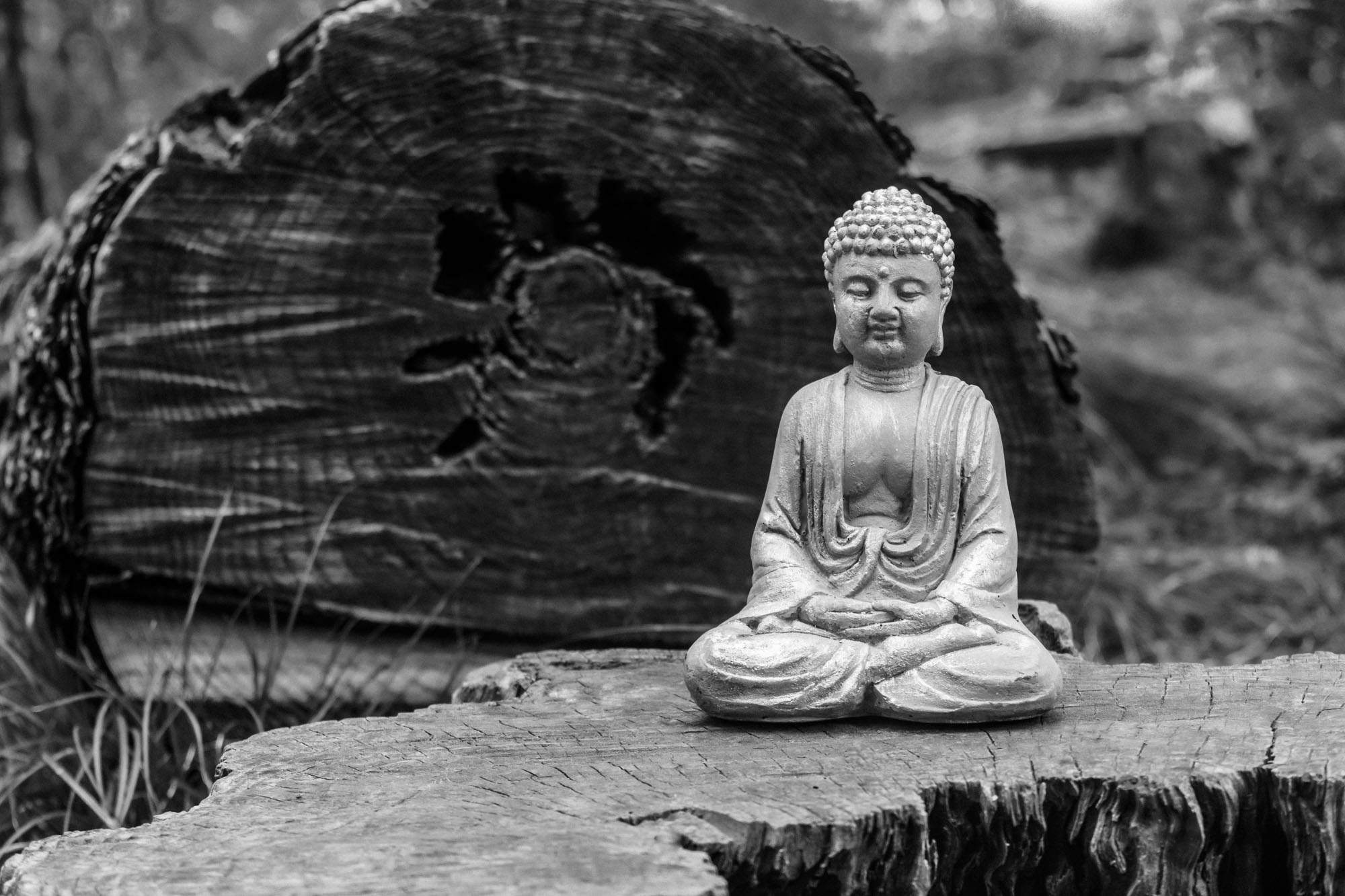 MEDITATION by Stewart Savage