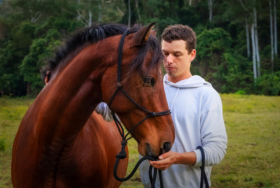 HORSE LISTENER by Nilmini De Silva
