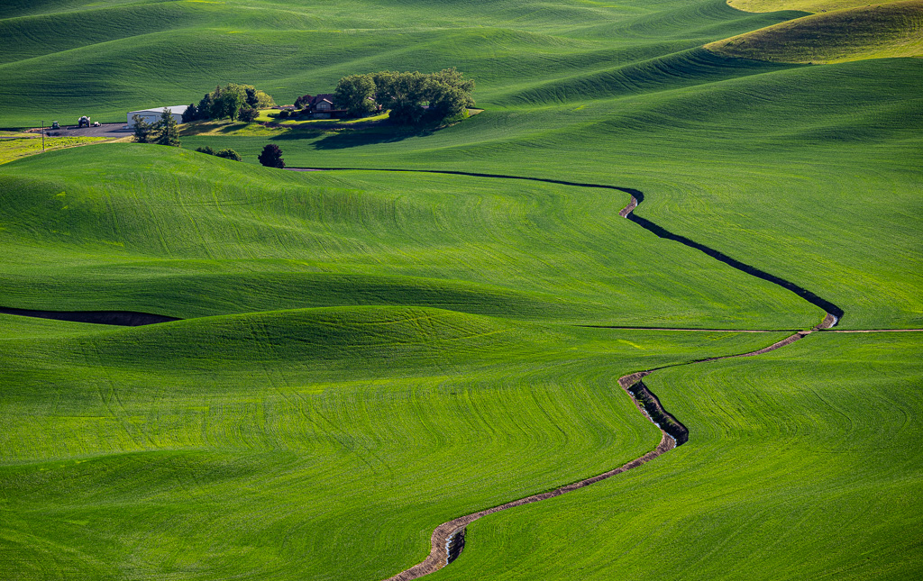 Fields of Green by Alan Kiecker