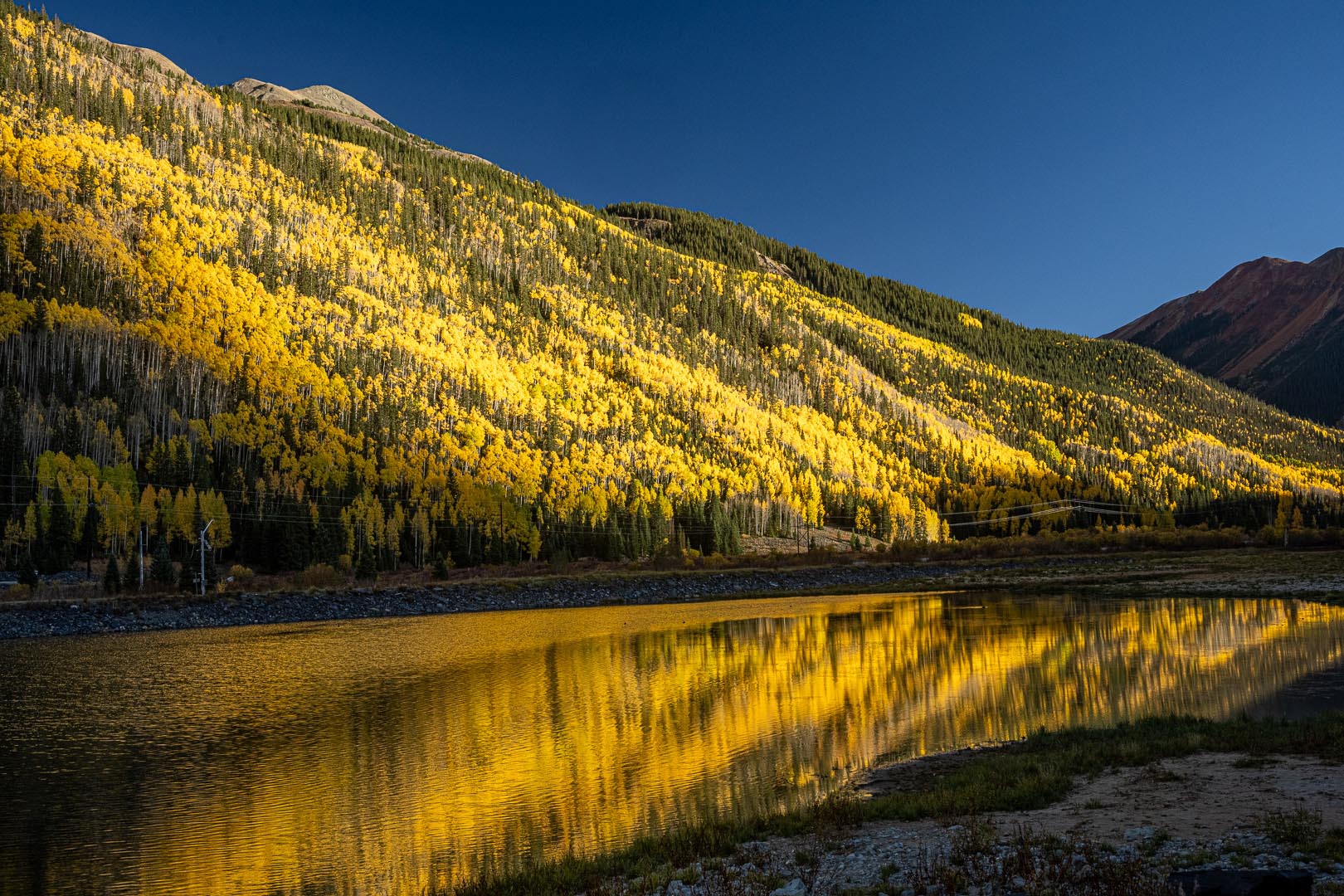 "Yellow Aspen Reflections"