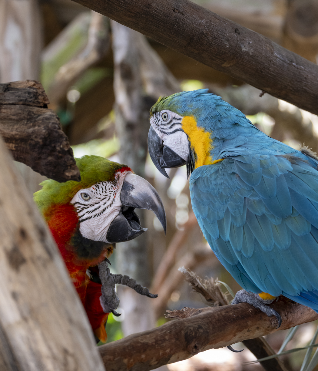Communication by Cindy Post