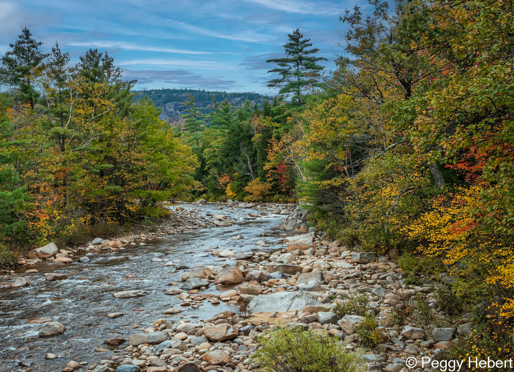 Kancamagus Highway by Peggy Hebert