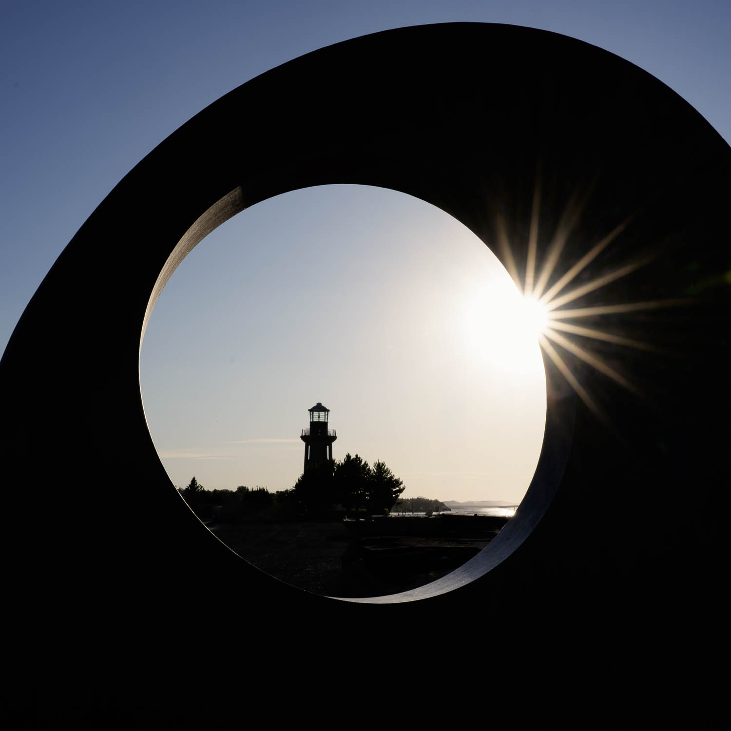 Sentinel At Sunset by Morrie Carter