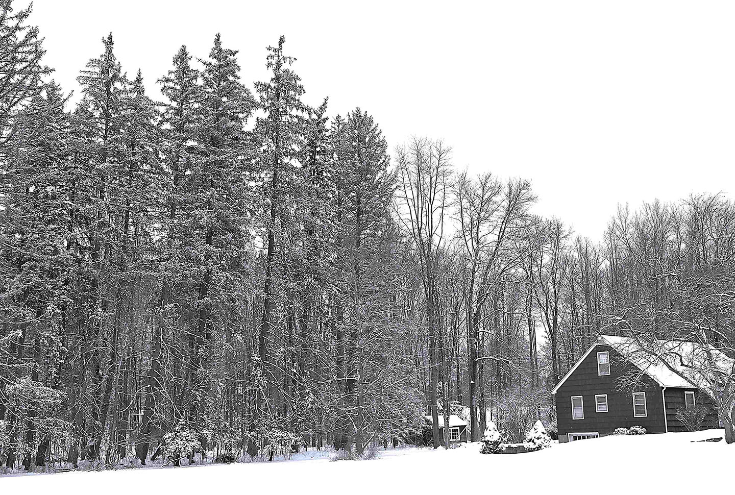 Winter Cottage by Tyrah Lawson