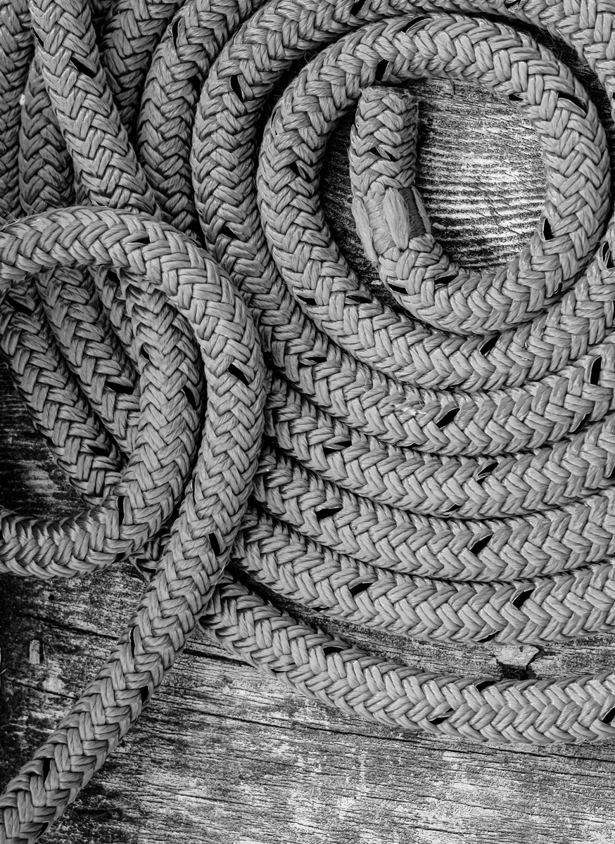 Coiled by Lorna Zaback