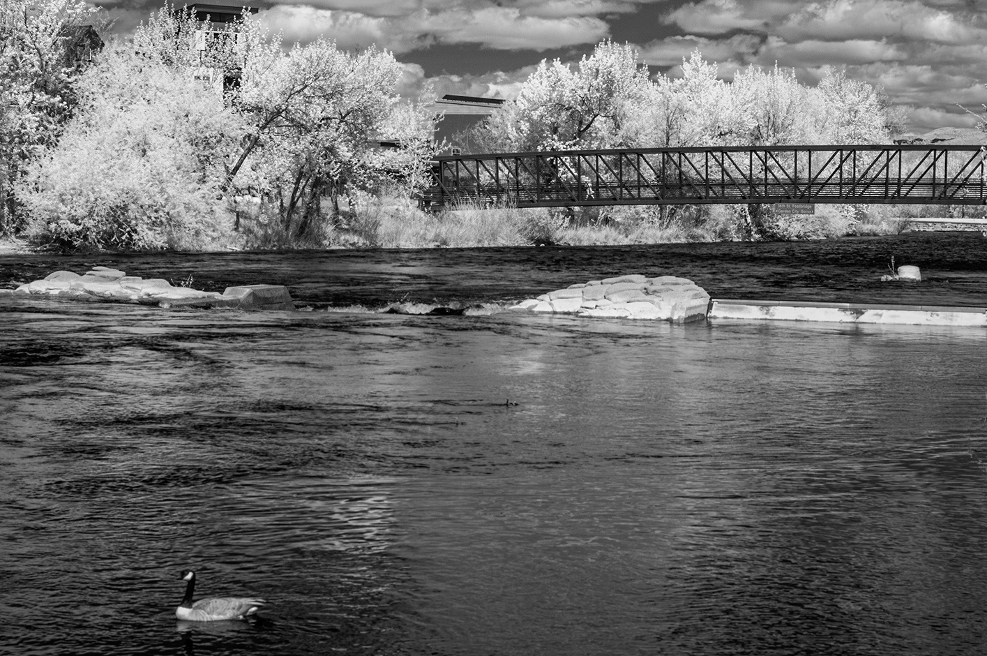 Infrared by James Cagle
