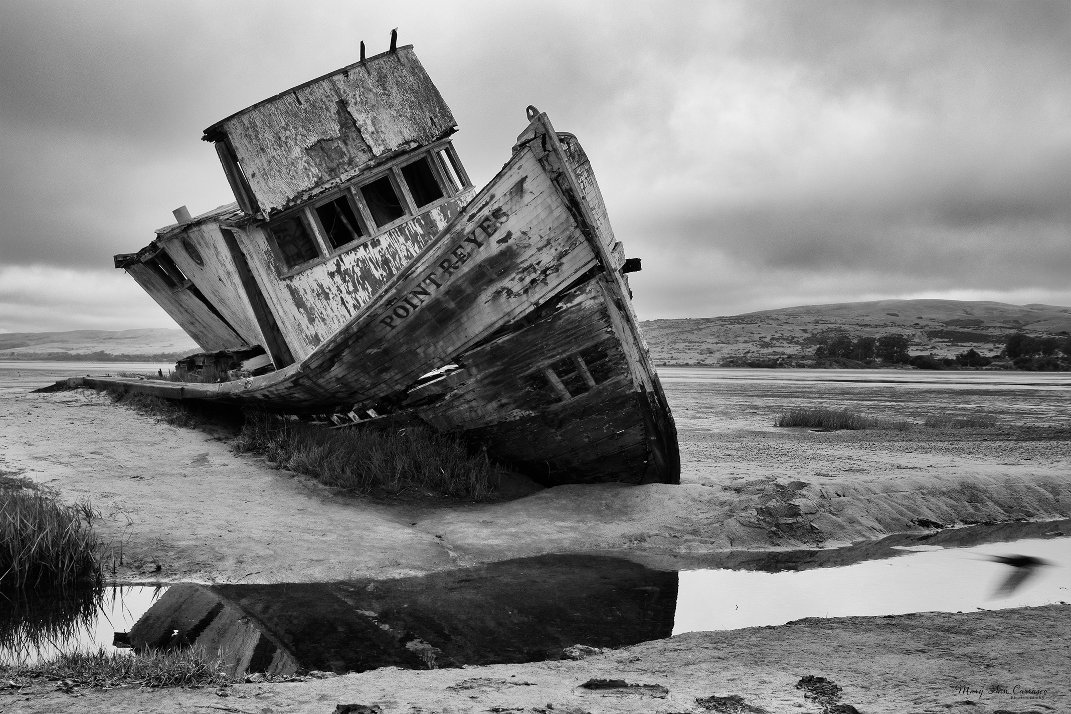 Abandoned in Pt. Reyes by Mary Ann Carrasco