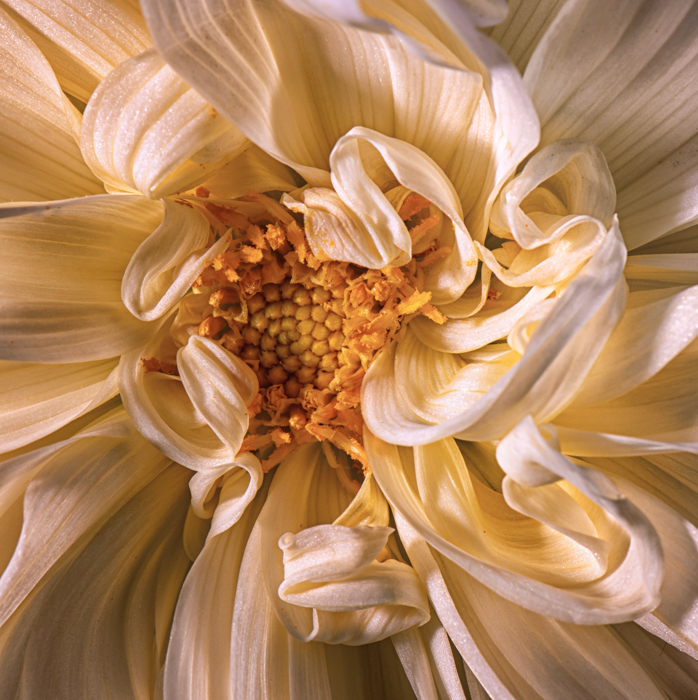 April 2026 - Lorna Zaback