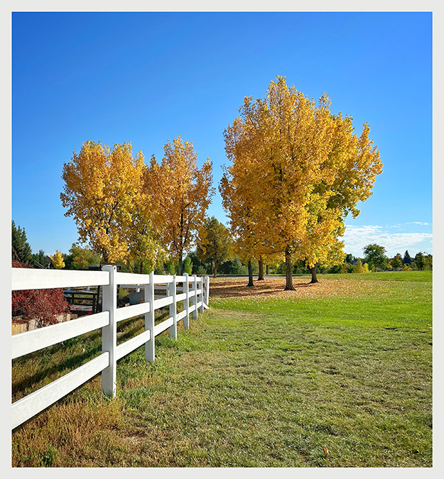 Fall Color by Robert Barley