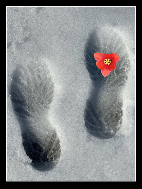 Footsteps In The Snow _ How I Did It by Sol Blechman