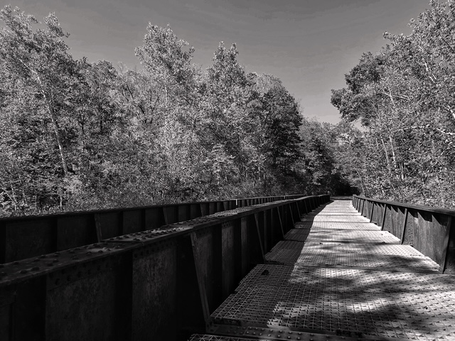 Title: Abandoned railroad bridge  by Richard Sprott