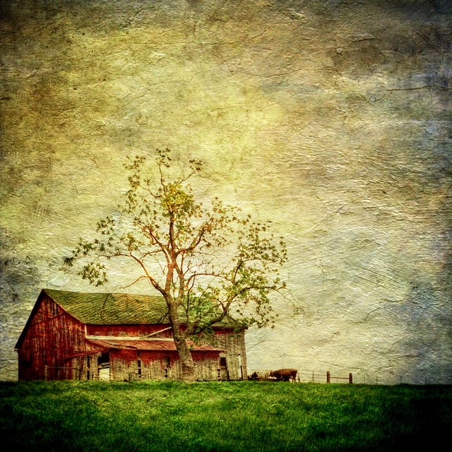 December 2025 - Jerry Hug, APSA