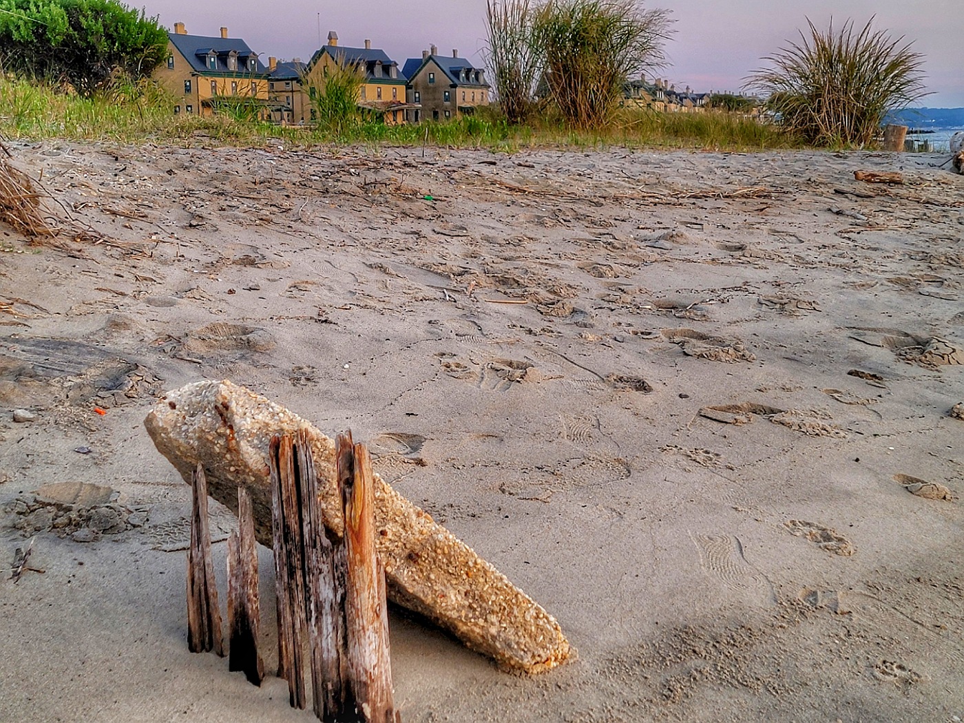 DRIFTWOOD LEAD IN: by Lynne Royce