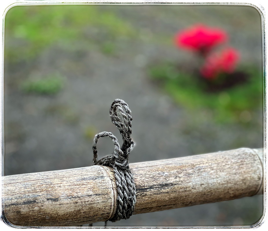 Know IN Japanese Garden - How I Did It by Sol Blechman