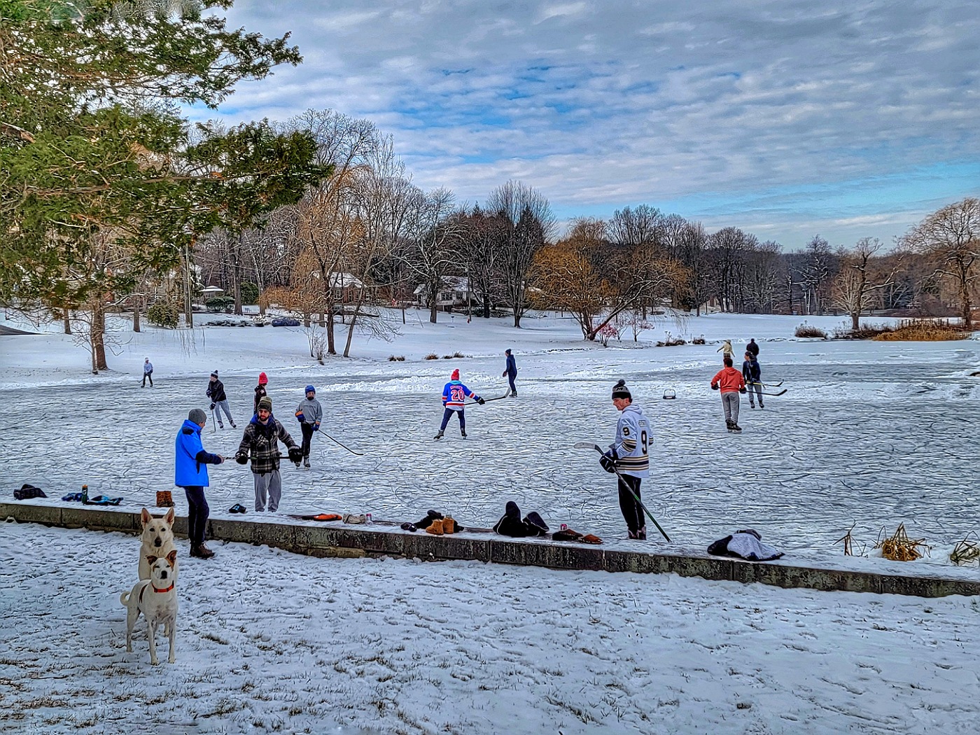 ICE SKATING by Lynne Royce