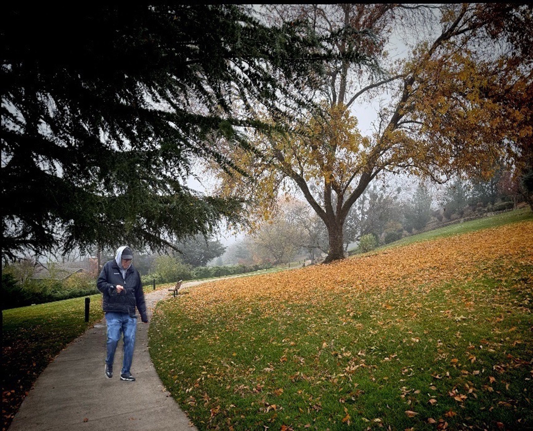 Man on Path - How I Did It by Sol Blechman