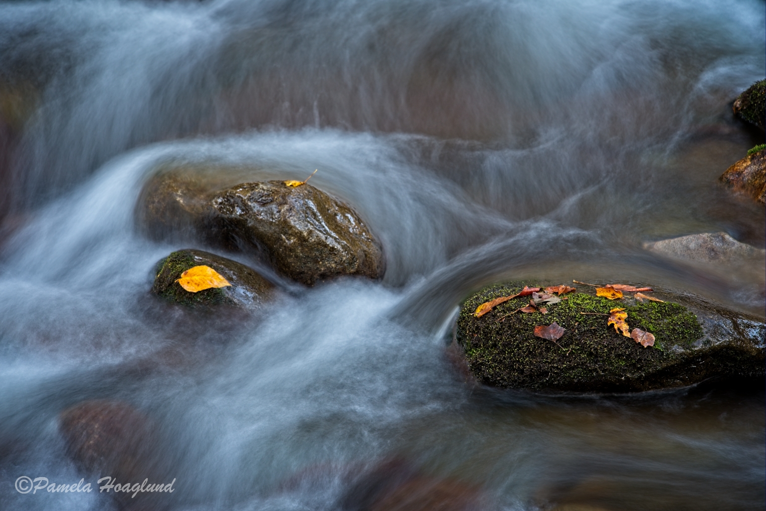 Little River by Pamela Hoaglund