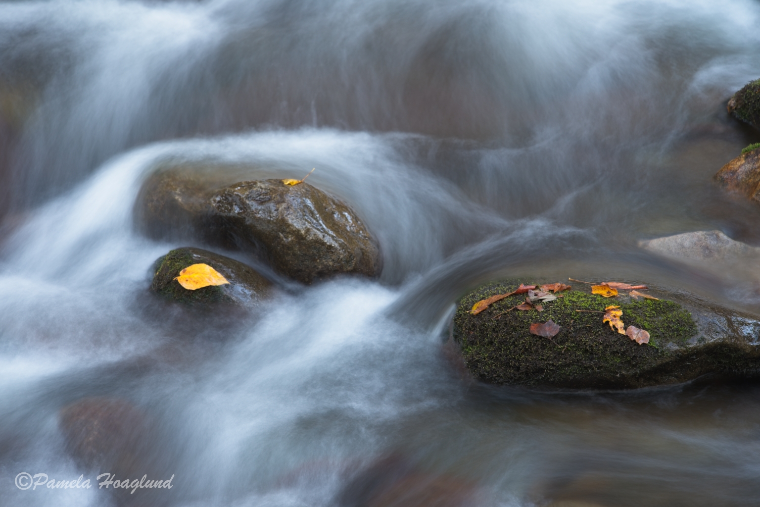 April 2026 - Pamela Hoaglund