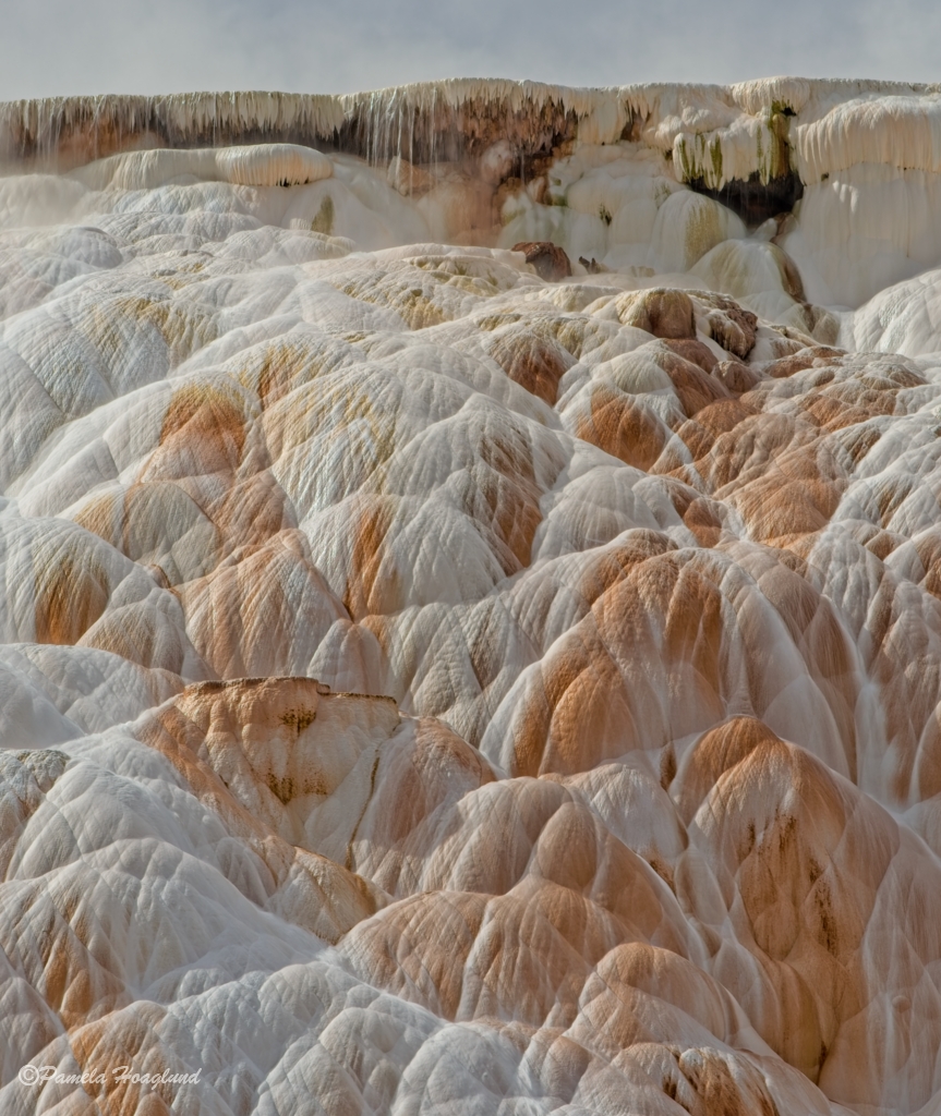 Natures Art by Pamela Hoaglund