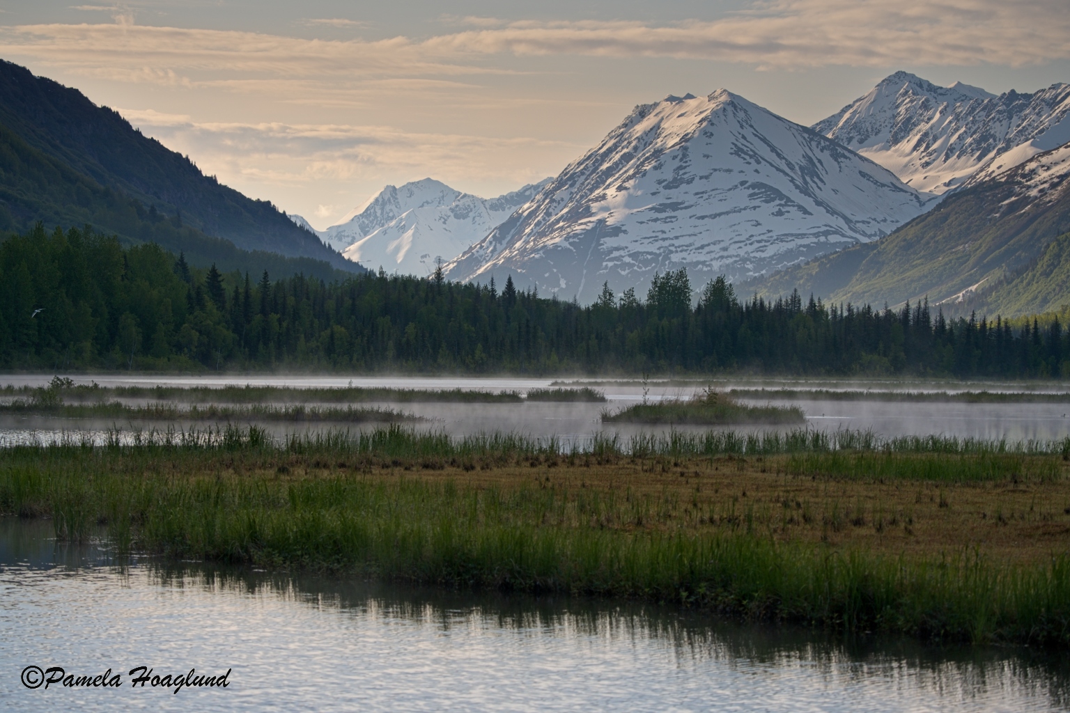Tern Lake by Pamela Hoaglund