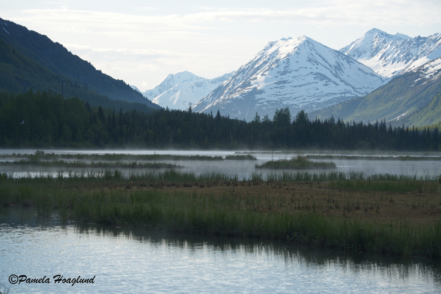 December 2025 - Pamela Hoaglund