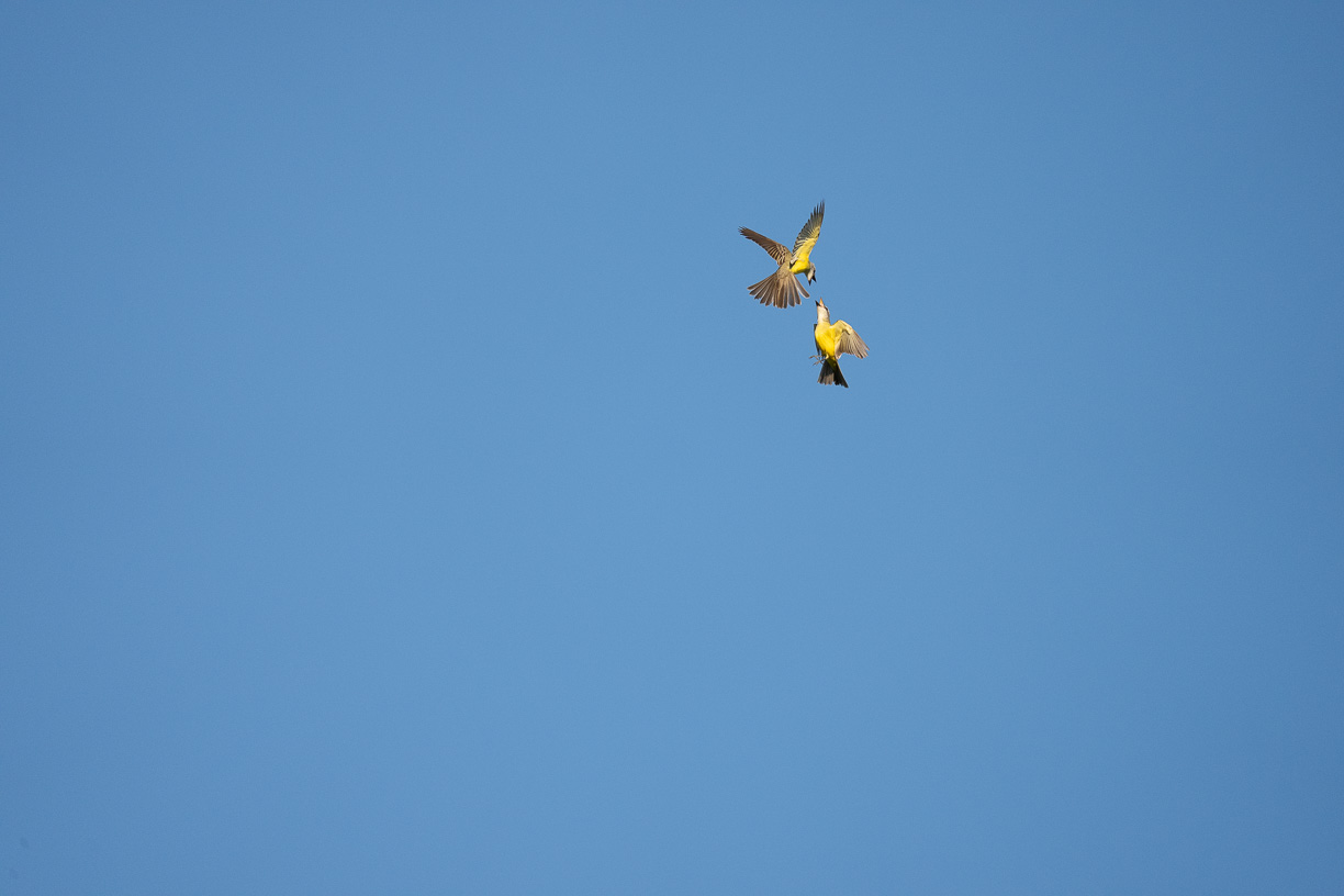 November 2025 - Mike Cohen