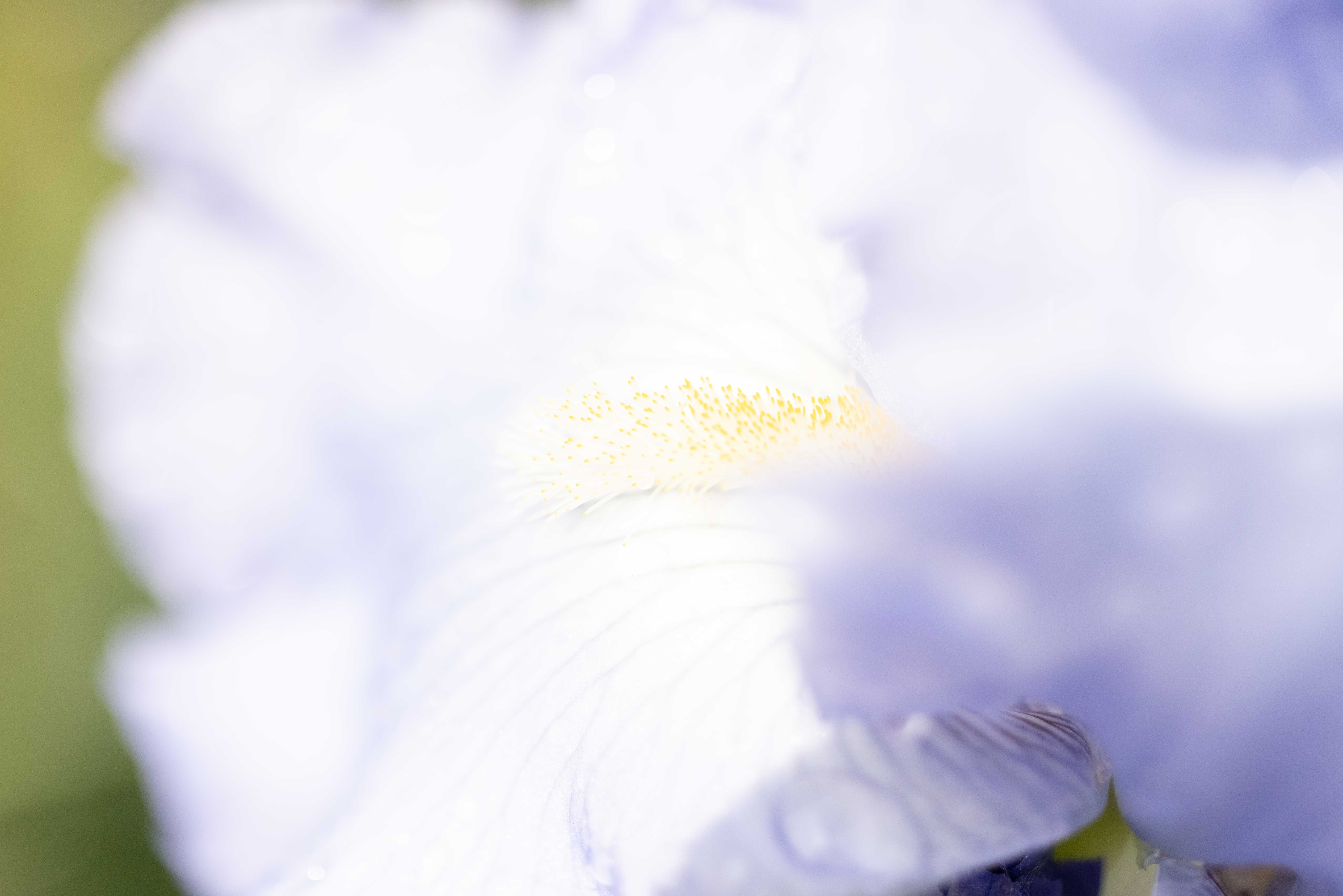 May 2023 - Judith Lesnaw