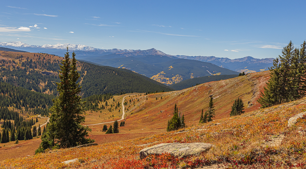 Ptarmigan Ridge by Ally Green