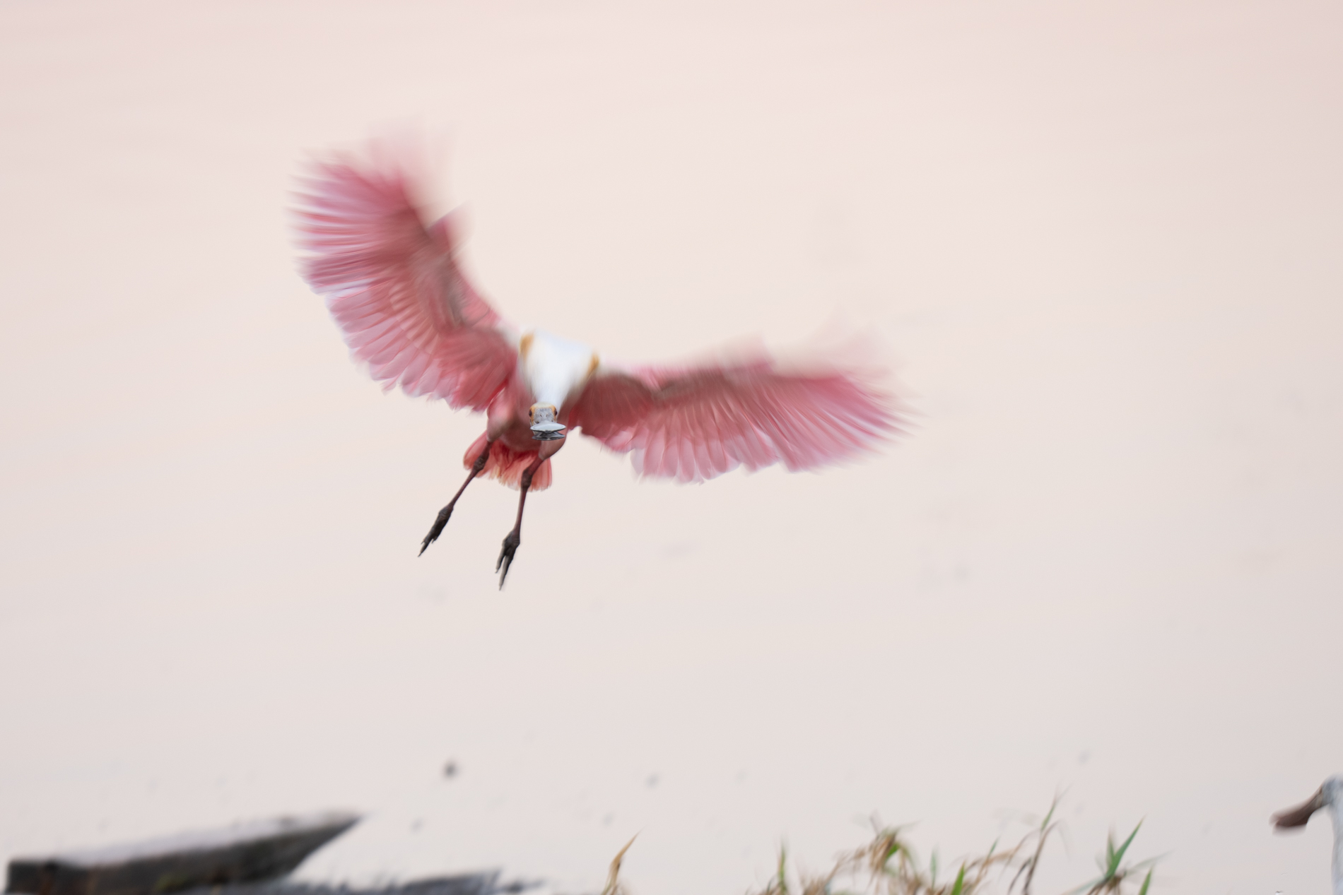 April 2026 - Mike Cohen