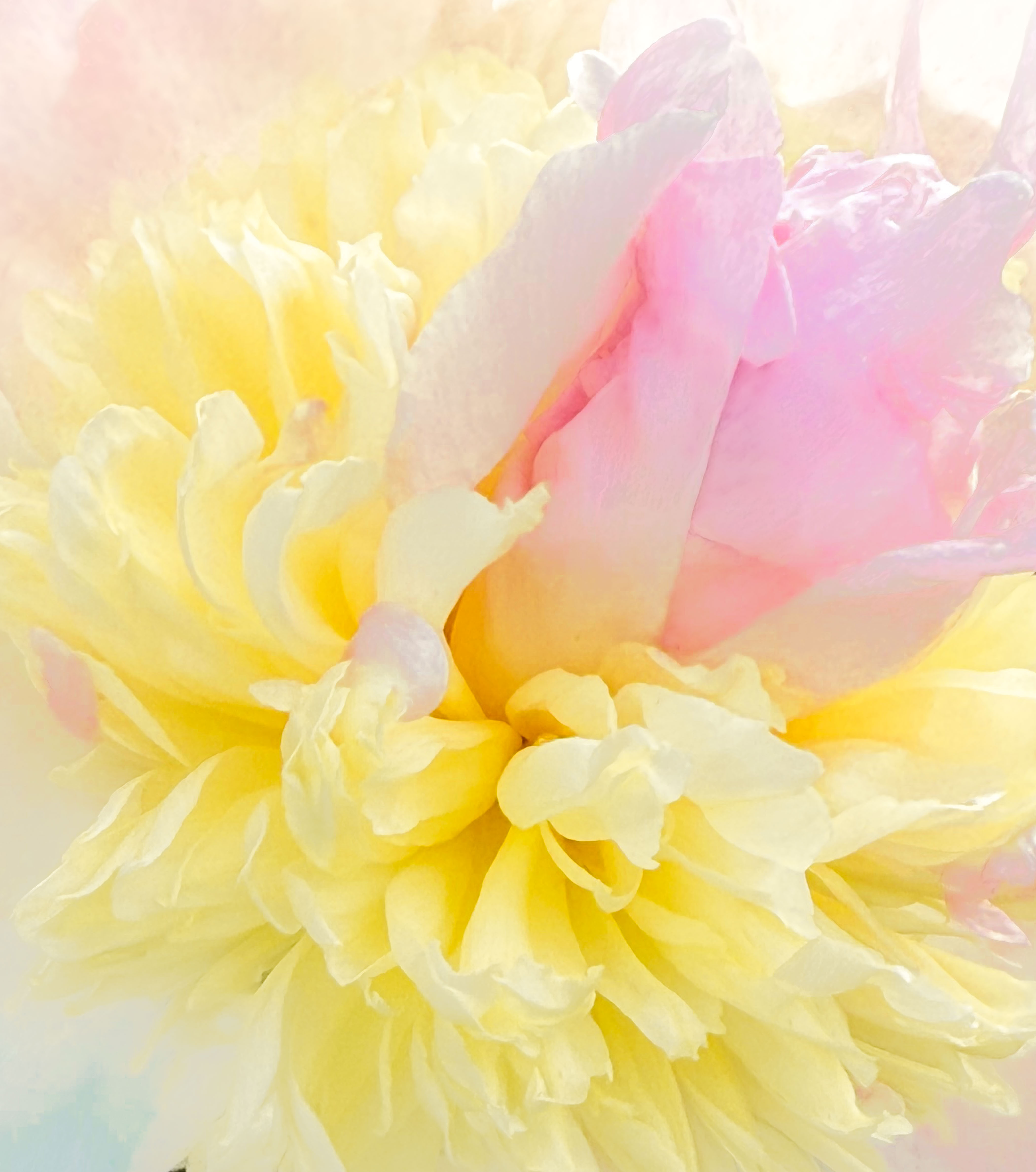 Strawberry Lime Sunday by Judith Lesnaw