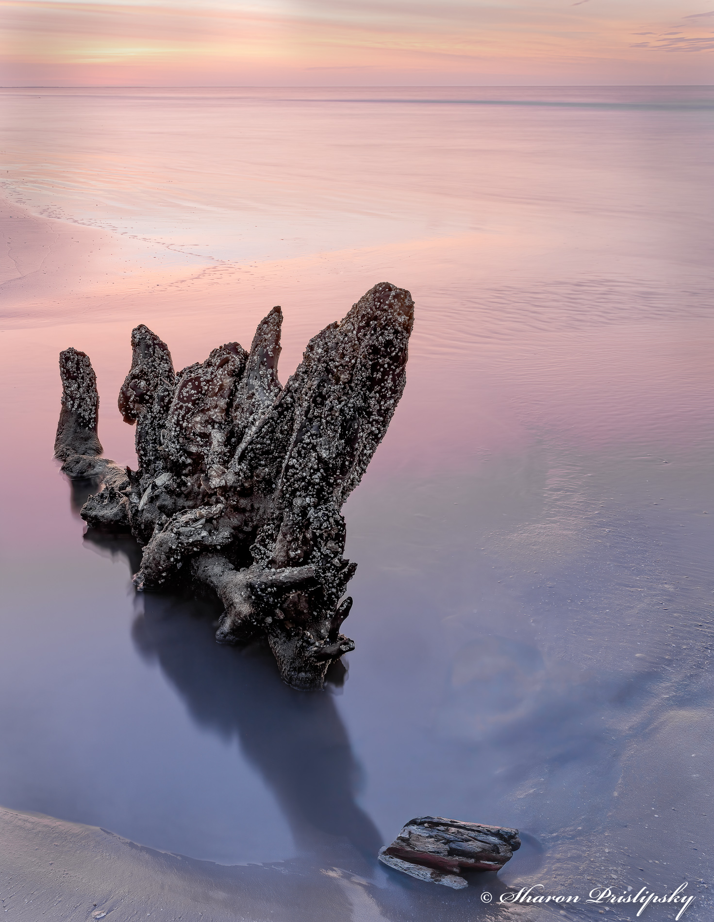 Sunrise at Edisto Island by Sharon Prislipsky