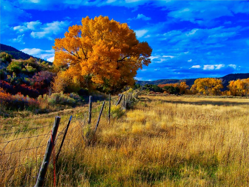 A Fence Going Into Nowhere Land by Rick Finney